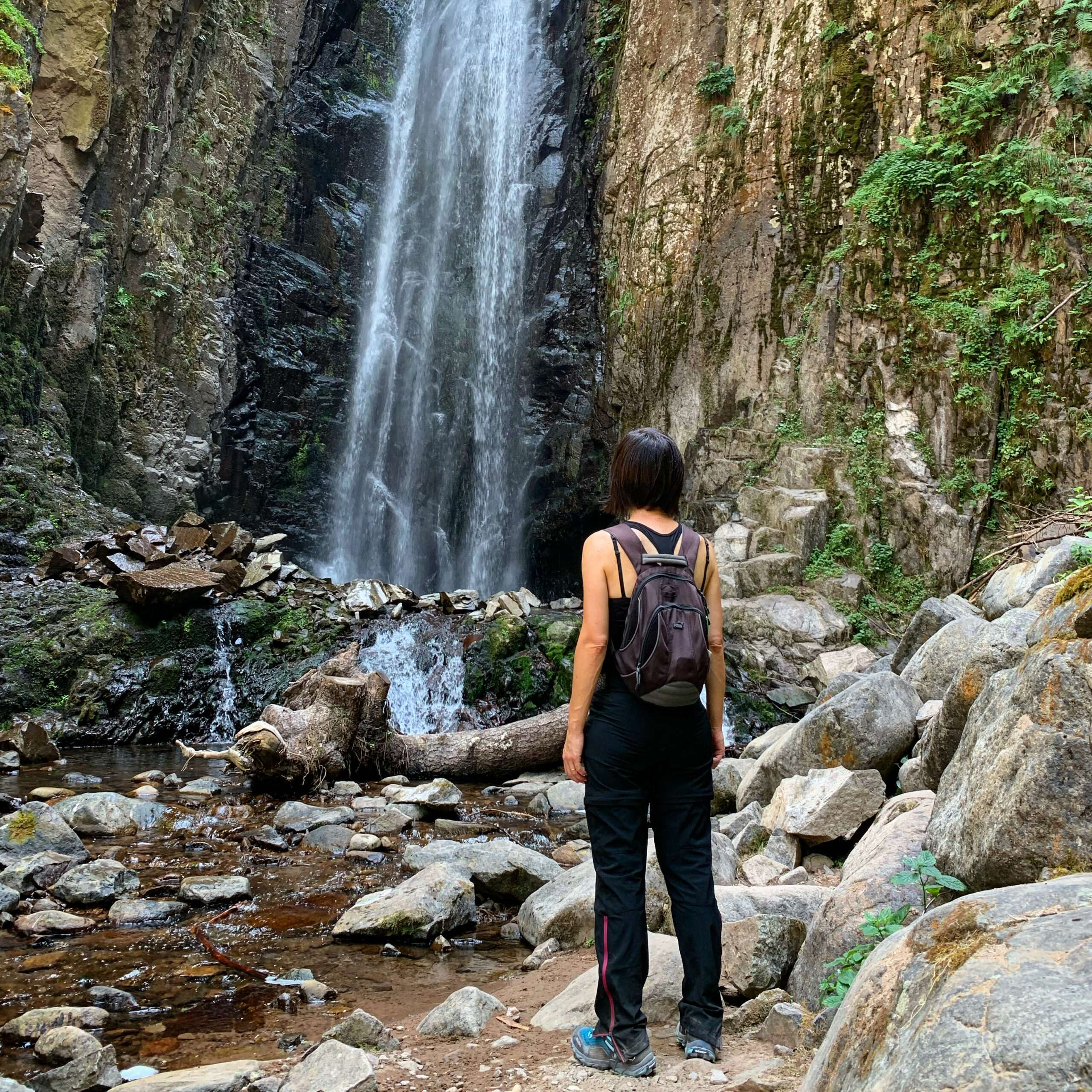 Laura Callegaro | Fotografia - Natura - Spiritualità